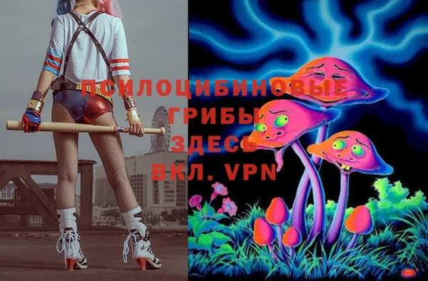 мдпв Алексеевка