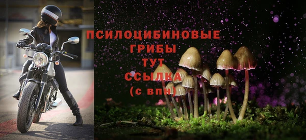 амф Алексин